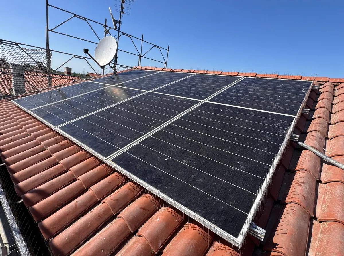 Piccioni e Volatili su Tetti e Fotovoltaico (Columba livia · Storni · Passeri) - Guida riconoscimento One Pest